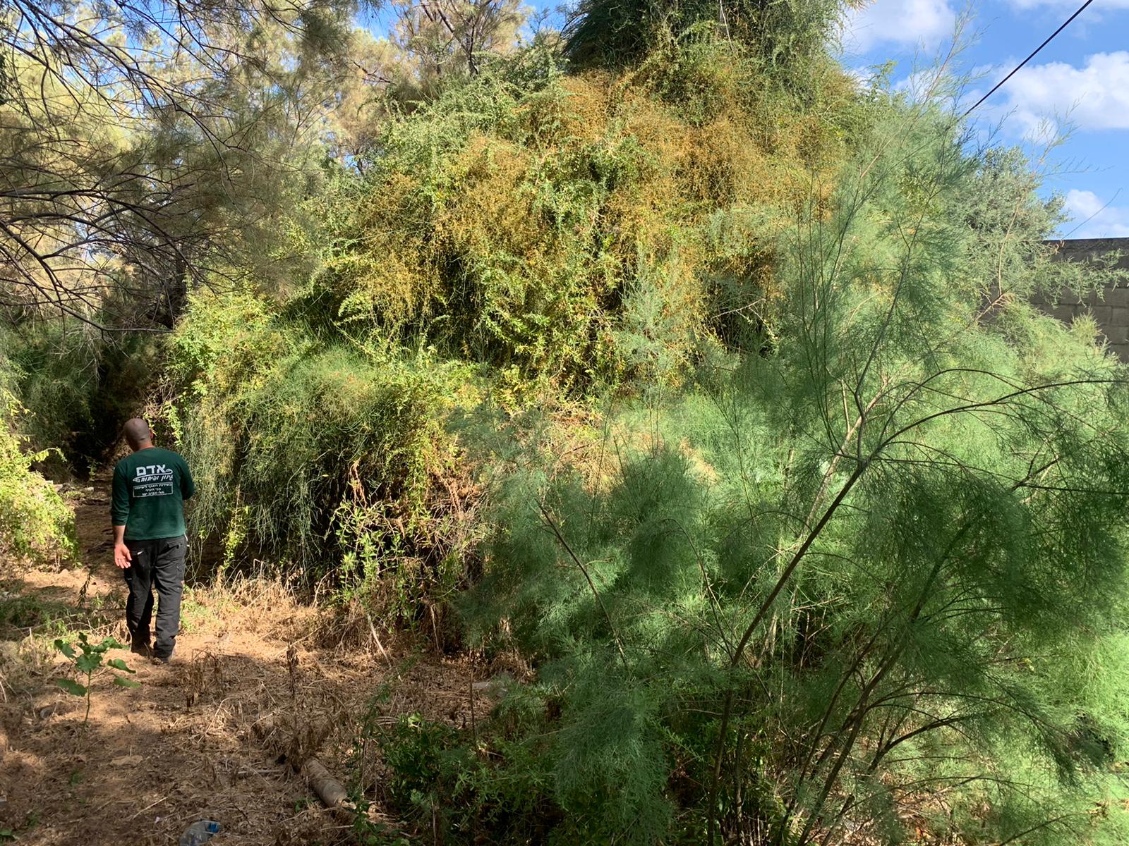 WhatsApp Image 2021-05-31 at 10.49.00 AM.jpeg